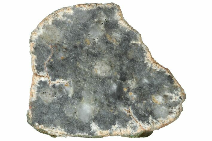 Lunar Meteorite ( g) Slice - Bechar #313827